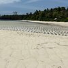 Seychelles, Platte island, low tide