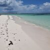 BVI, Anegada island, Cow Wreck beach