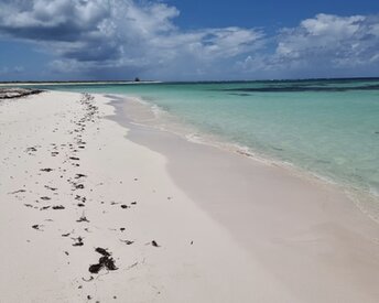 BVI, Anegada island, Cow Wreck beach