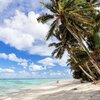 Cook Islands, PukaPuka atoll, beach, palms