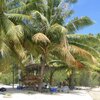 French Polynesia, Manihi Atoll, beach