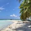 French Polynesia, Mataiva Atoll, beach