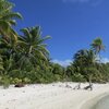 French Polynesia, Tetiaroa atoll, beach