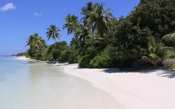 Maldives, Addu Seenu atoll, Canareef island, beach