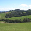 New Zealand, Waiheke island, fields