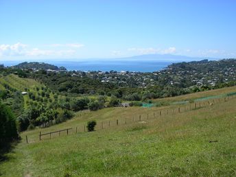 New Zealand, Waiheke island, hills