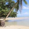 Палау, Остров Бабелдаоб, пляж Чол, пальма