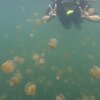 Palau, Mecherchar island