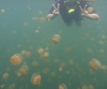 Palau, Mecherchar island