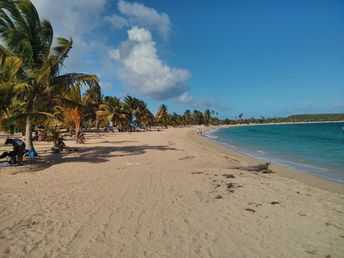Puerto Rico, Vieques island, Sun Bay beach