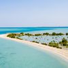 Saudi Arabia, Farasan islands, mangroves
