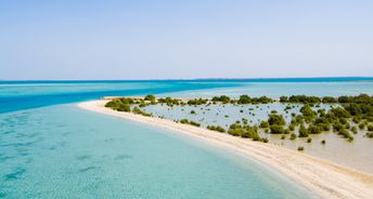 Saudi Arabia, Farasan islands, mangroves