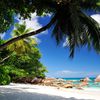 Seychelles, Praslin island, Anse Lazio beach