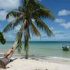 Vietnam, Phu Quoc island, Bai Sao beach, on the palm