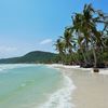 Vietnam, Phu Quoc island, Bai Sao beach, palm trees