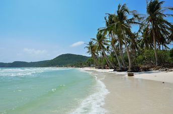 Vietnam, Phu Quoc island, Bai Sao beach, palm trees