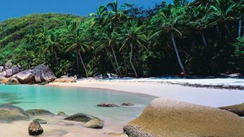 Australia, Bedarra island, beach