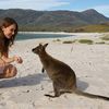 Australia, Tasmania island, animal