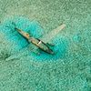 Bahamas, Exuma Cays, Norman's Cay