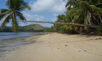 Фиджи, Острова Кандаву, пляж, пальма над водой
