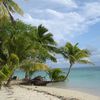 Fiji, Lomaivitis, Leleuvia island, beach, palm