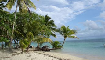 Fiji, Lomaivitis, Leleuvia island, beach, palm