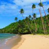 Fiji, Taveuni island, beach