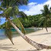 Fiji, Taveuni island, beach, palms