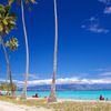 French Polynesia, Moorea island, Temae beach