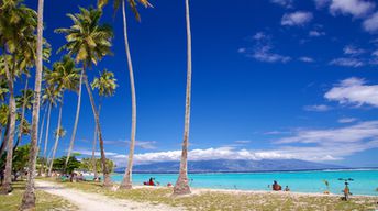 French Polynesia, Moorea island, Temae beach