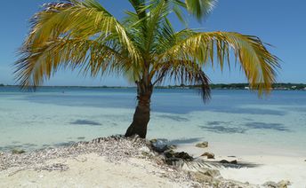 Honduras, Utila island, Bandu beach