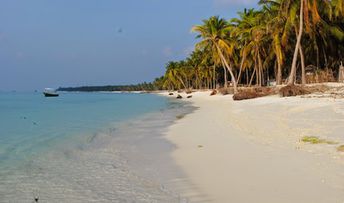 India, Laccadive islands, beach