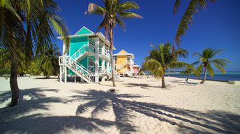 Little Cayman island