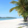 Malaysia, Langkawi island, Cenang beach, palms