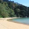 Malaysia, Tioman island, Monkey beach