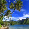 Moorea island, Ta'ahiamanu Beach