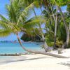 Rangiroa atoll, beach, palm