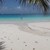 Seychelles, Praslin island, Anse Lazio beach, creek