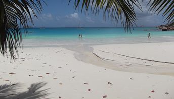 Seychelles, Praslin island, Anse Lazio beach, creek