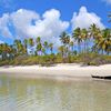 Tanzania, Mafia isl, beach, palms