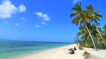 Tanzania, Mafia island, Lua Cheia beach