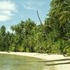 Thailand, Ko Kood, beach, palms