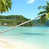 Thailand, Ko Kood isl, palm over water