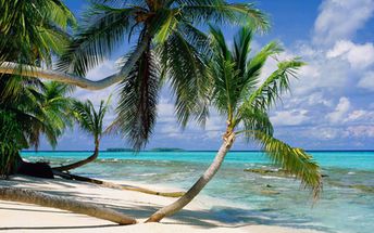 Tuvalu, palms over water