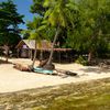 Vanuatu, Malakula island, beach, palms