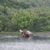 Vanuatu, Paama island, beach, view from water