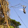 Vanuatu, Pentecost island, Land diving