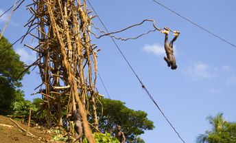 Vanuatu, Pentecost island, Land diving