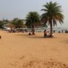 Xiamen, Gulangyu isl, beach, palms